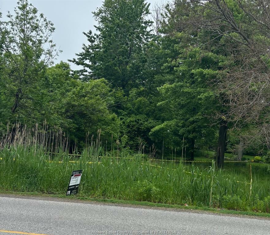 Property Photo: 673 Point Pelee Drive ON N8H 3V4