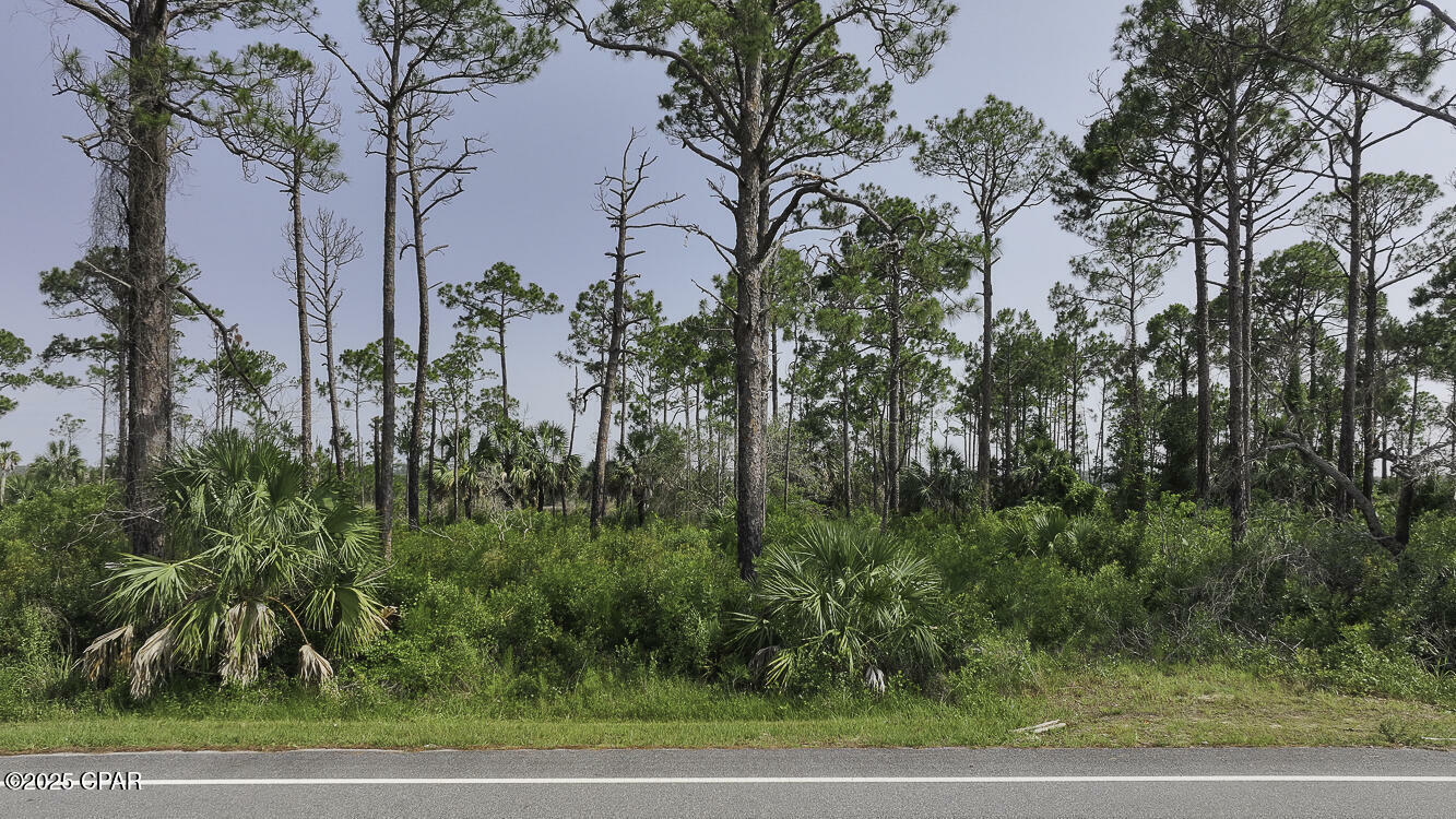 Property Photo: Lot 24 Cr-30A FL 32456