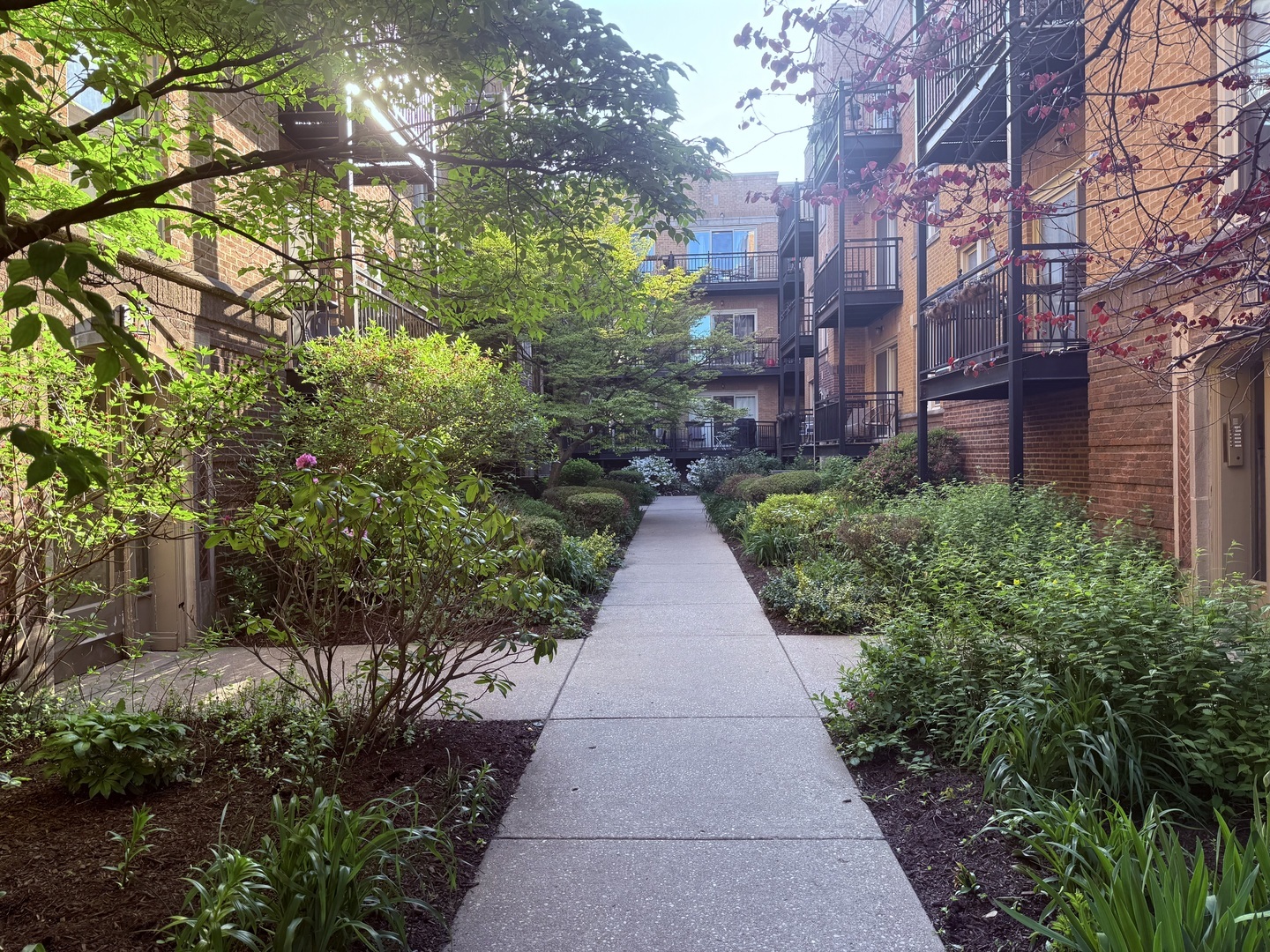 Property Photo: 4722 N Beacon Street 1E IL 60640