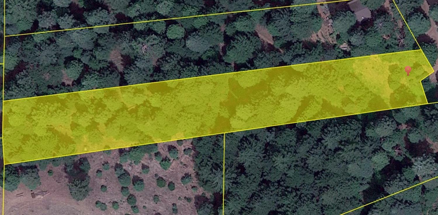 1 Stacy Lane  Pollock Pines CA 95726 photo