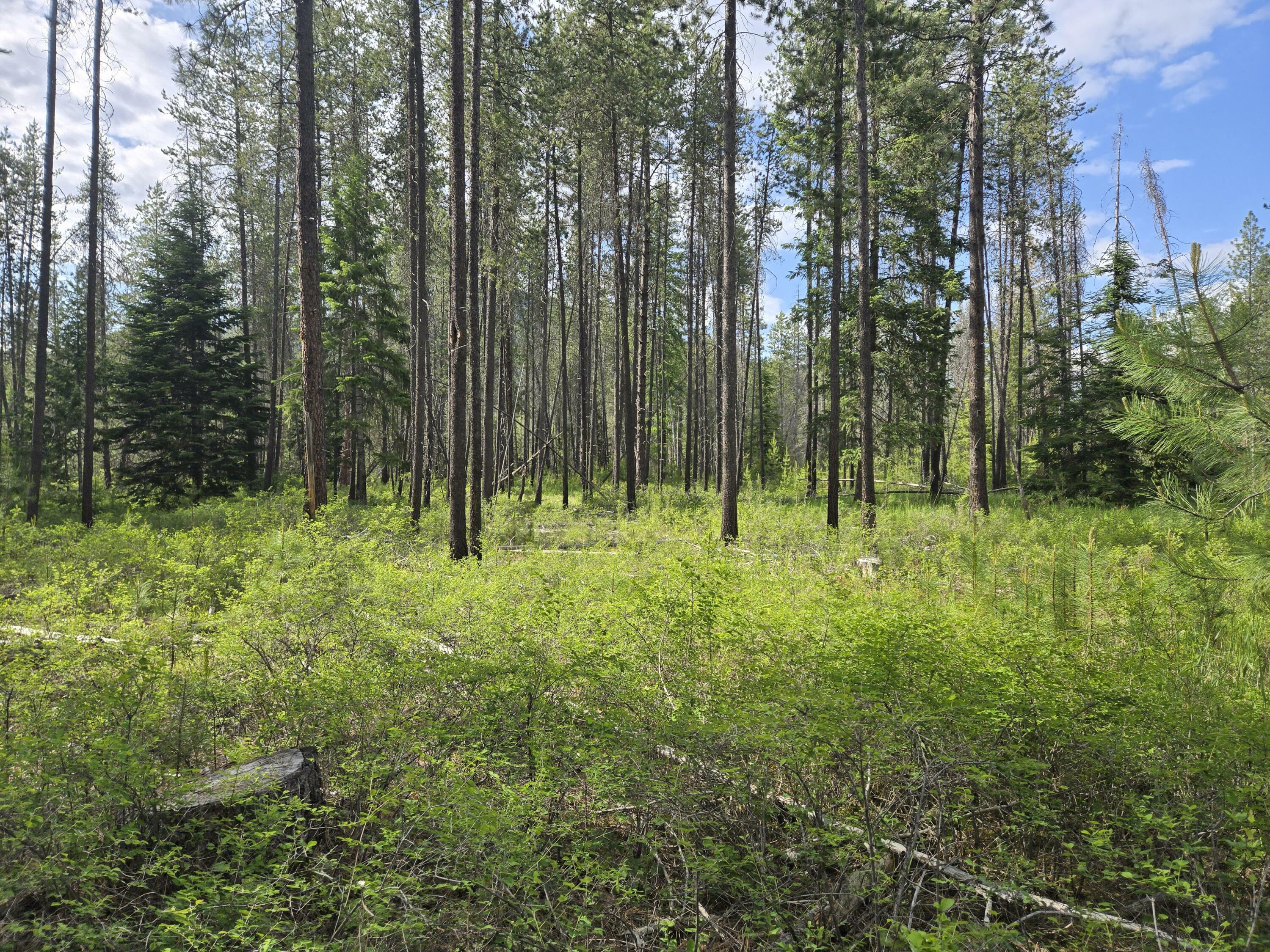 Property Photo: 26xx Sand Canyon Lot 2 Rd WA 99109