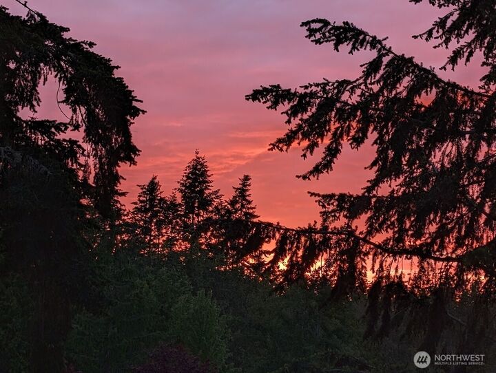 945  Rowe Road  Camano Island WA 98282 photo