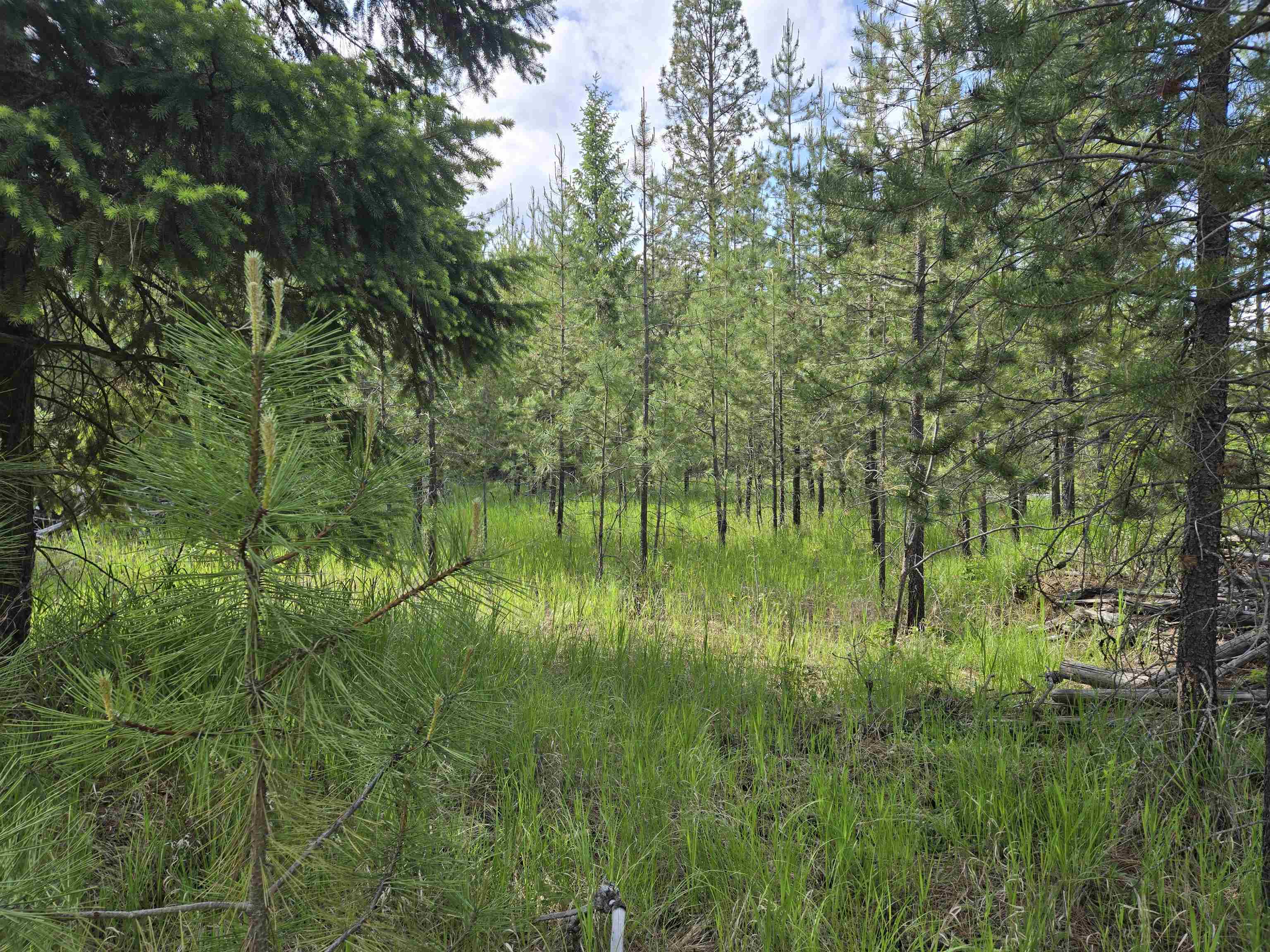 Property Photo: 26xx Sand Canyon Lot 3 Rd WA 99109