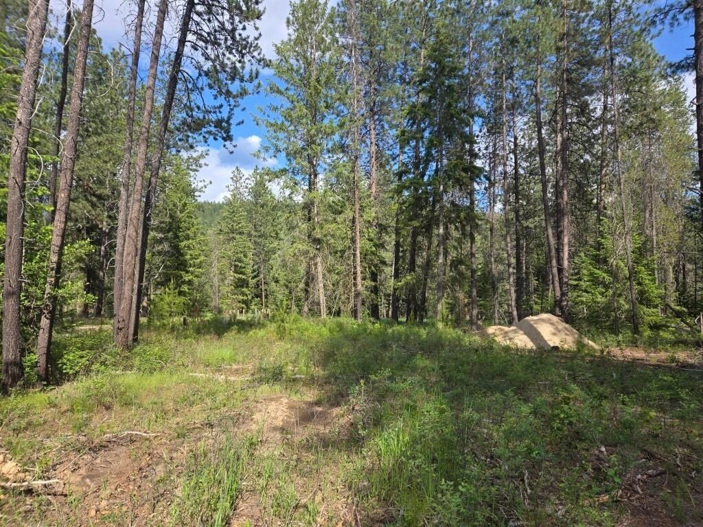 Property Photo: 26xx Sand Canyon Lot 2 Rd WA 99109
