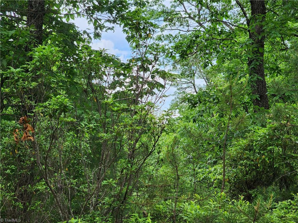 Property Photo: Tbd Derby Chase Court NC 28649