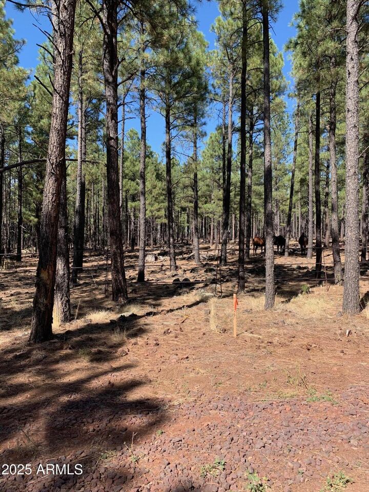 Property Photo: Tbd Dynamite Road - AZ 85929