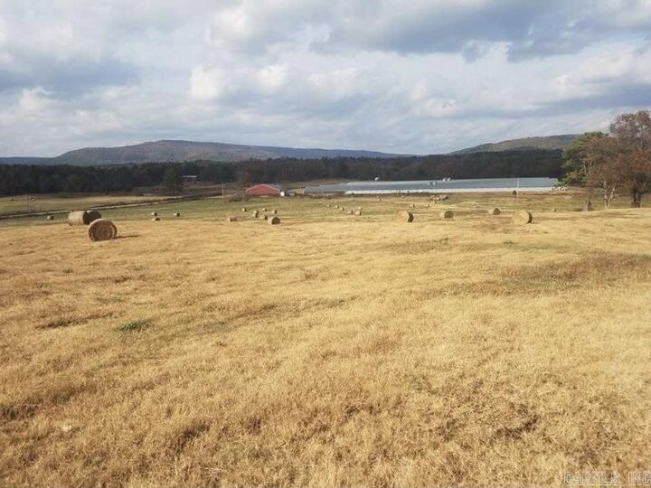 Property Photo: 000 County Road 3335 AR 72830