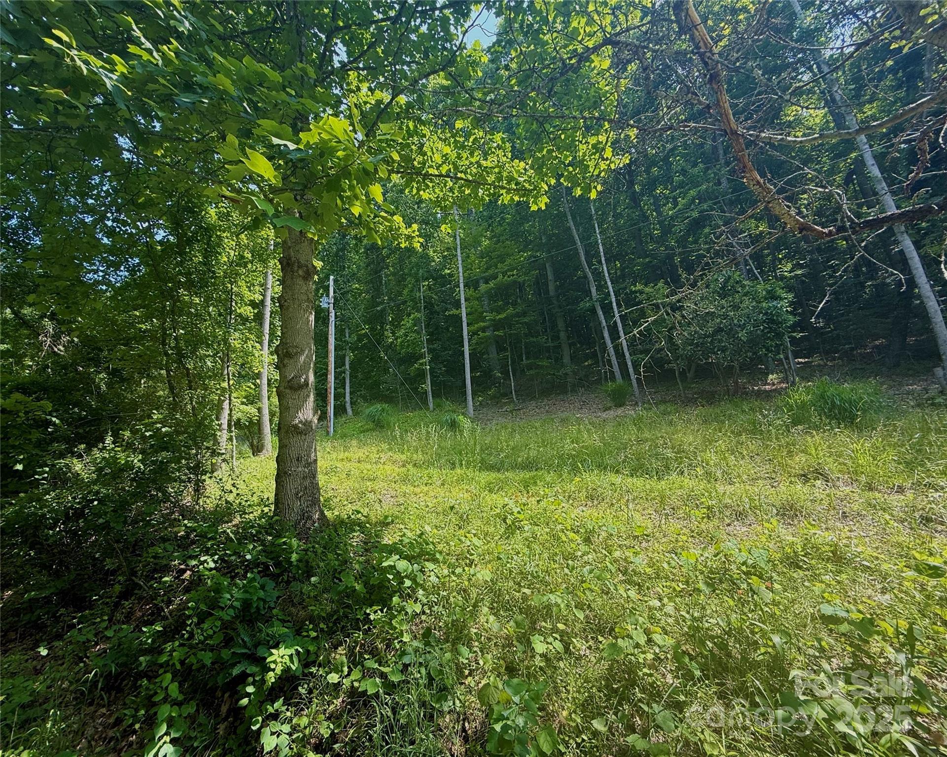 700 Wooded Mountain Trail  Mars Hill NC 28754 photo