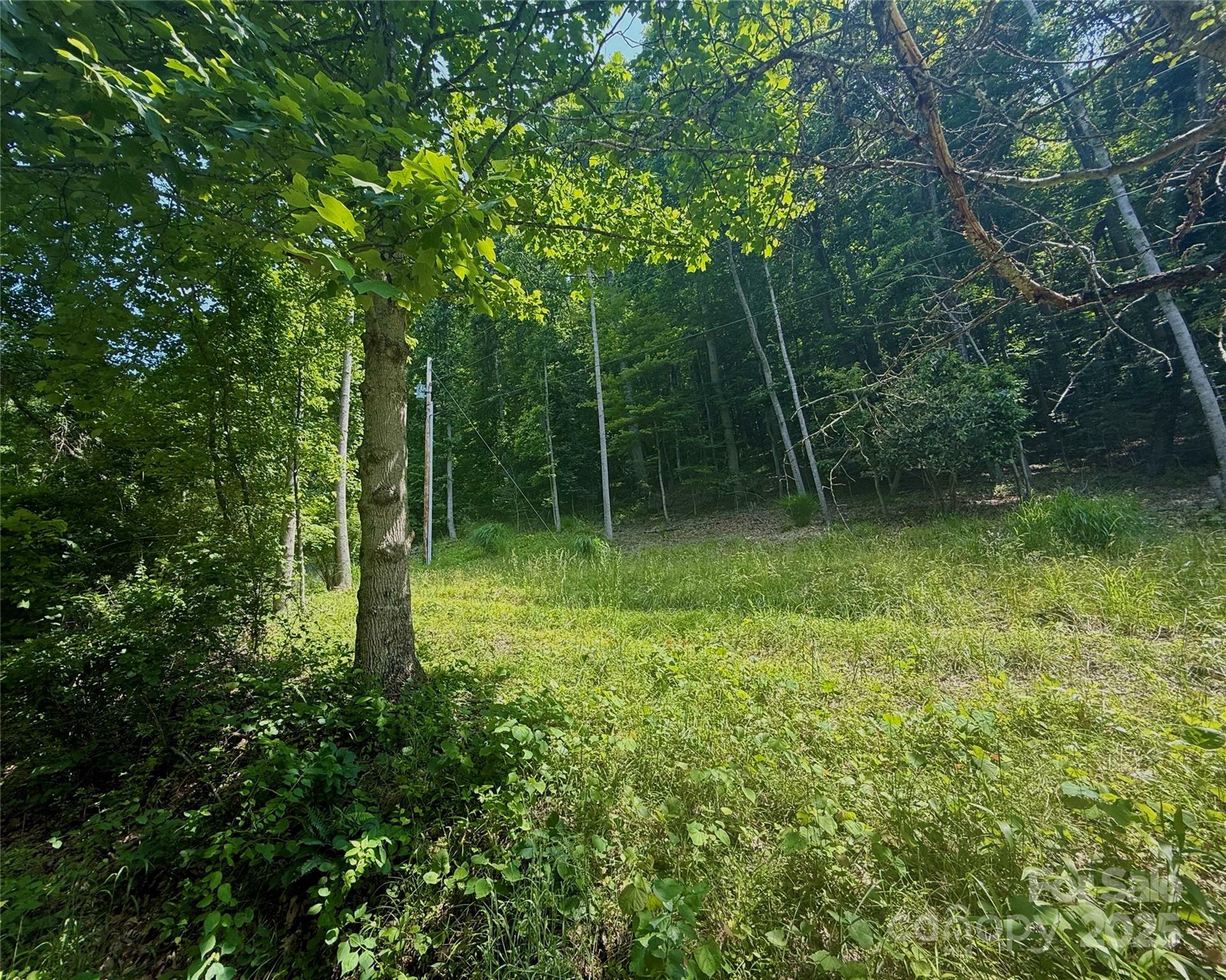 Property Photo: 700 Wooded Mountain Trail NC 28754