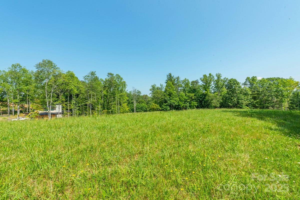 Property Photo: 116 Lilikoi Lane 95 NC 28804