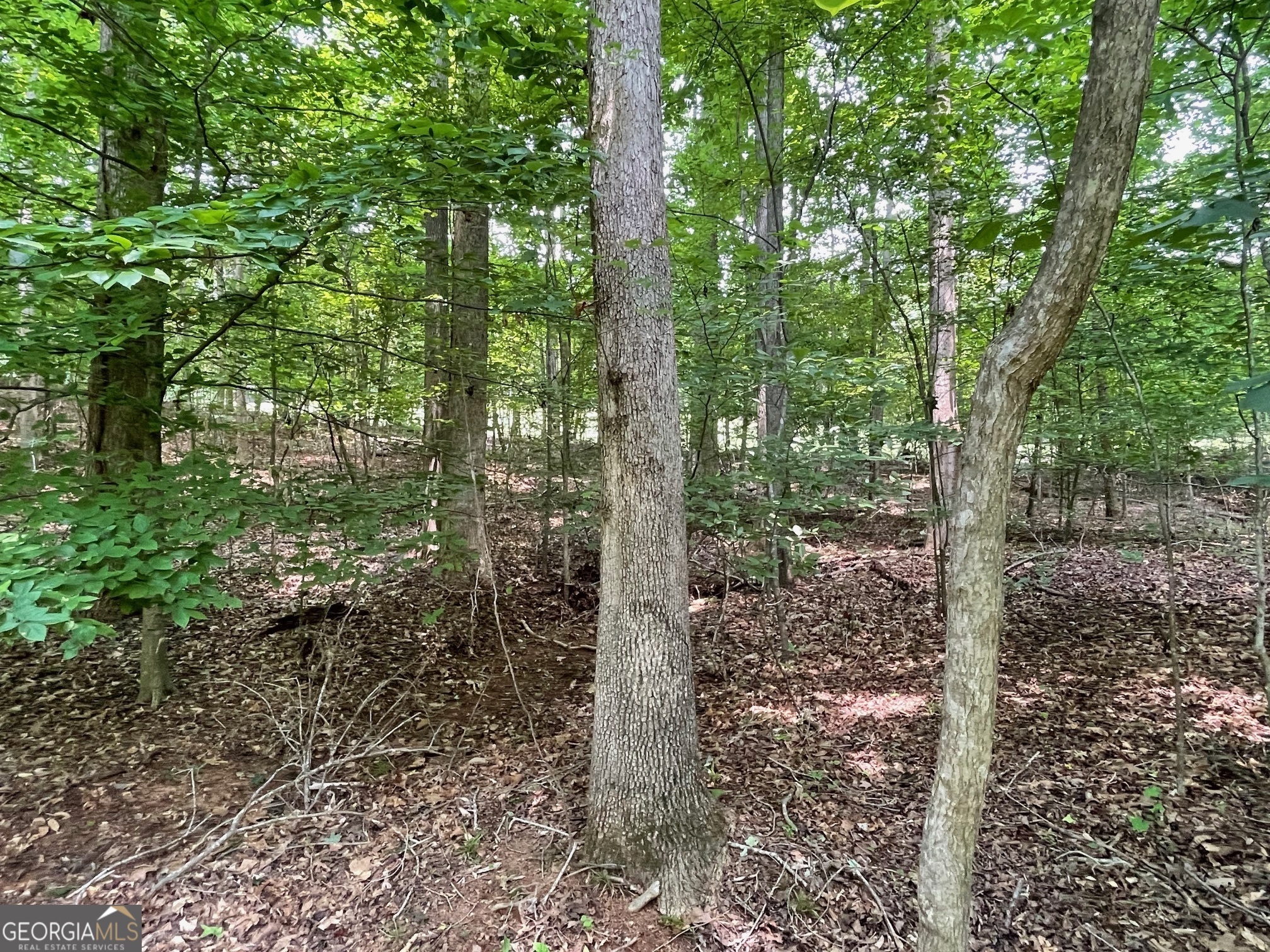 Property Photo: Lot 784 S Hogan Drive SC 29693