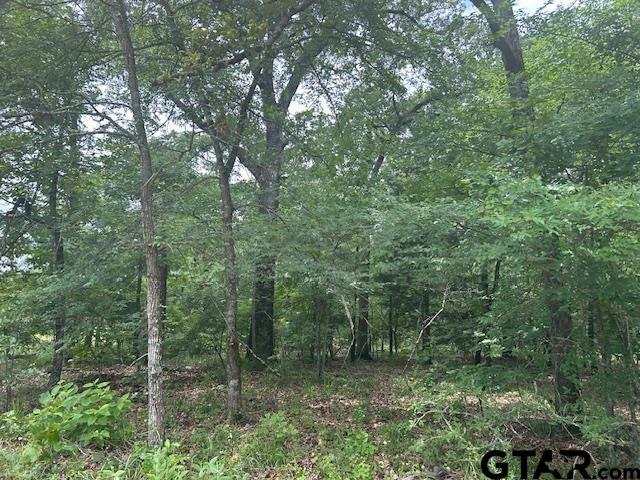 Property Photo: Tbd Vzcr 1712 TX 75140