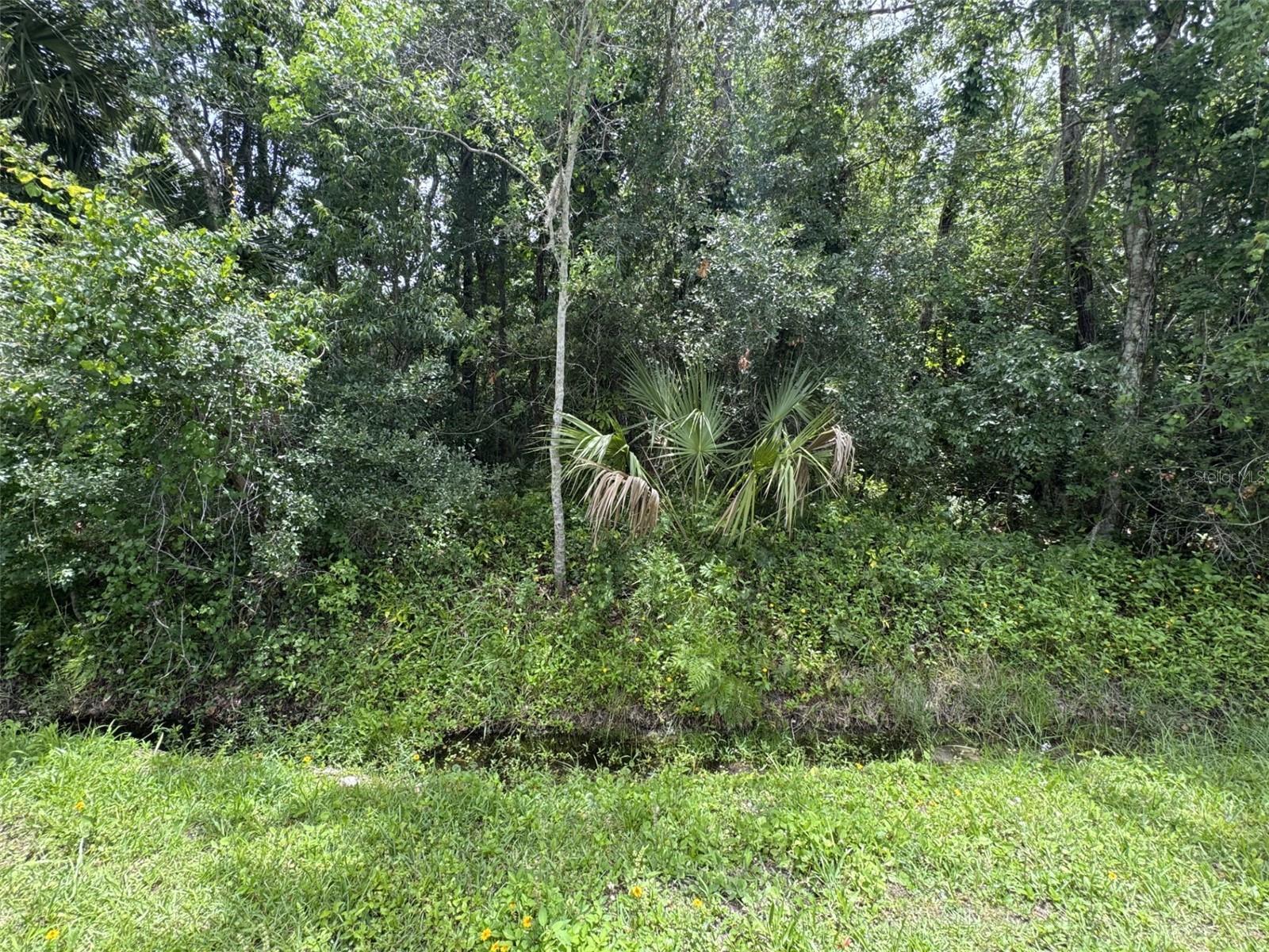 2737 10th Street  Orlando FL 32820 photo