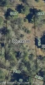 Property Photo: 000 Newago Trail MI 49735