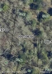 Property Photo: 0000 Newago Trail MI 49735