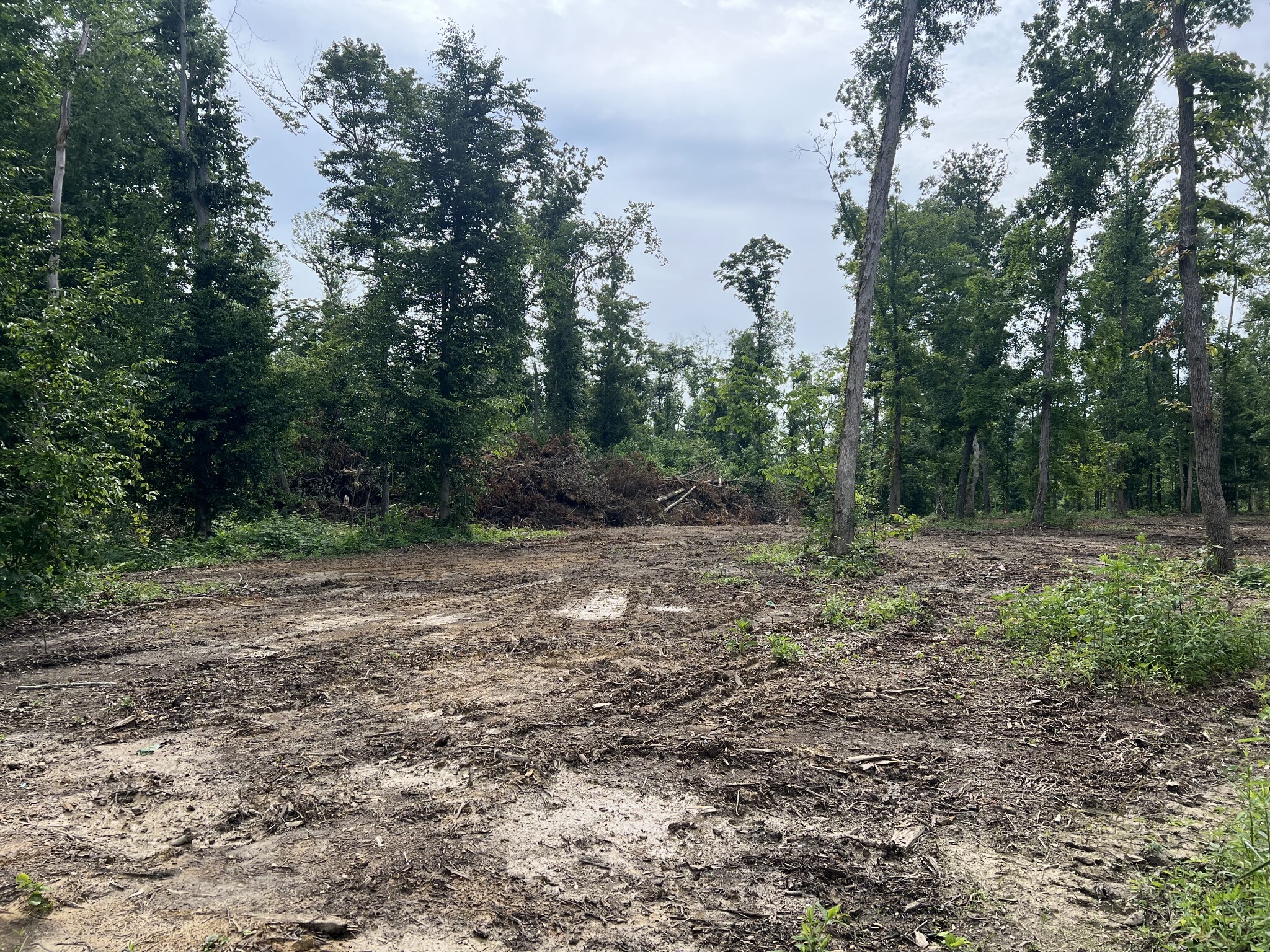 Property Photo:  28 Annie Hollow Rd  TN 37186 