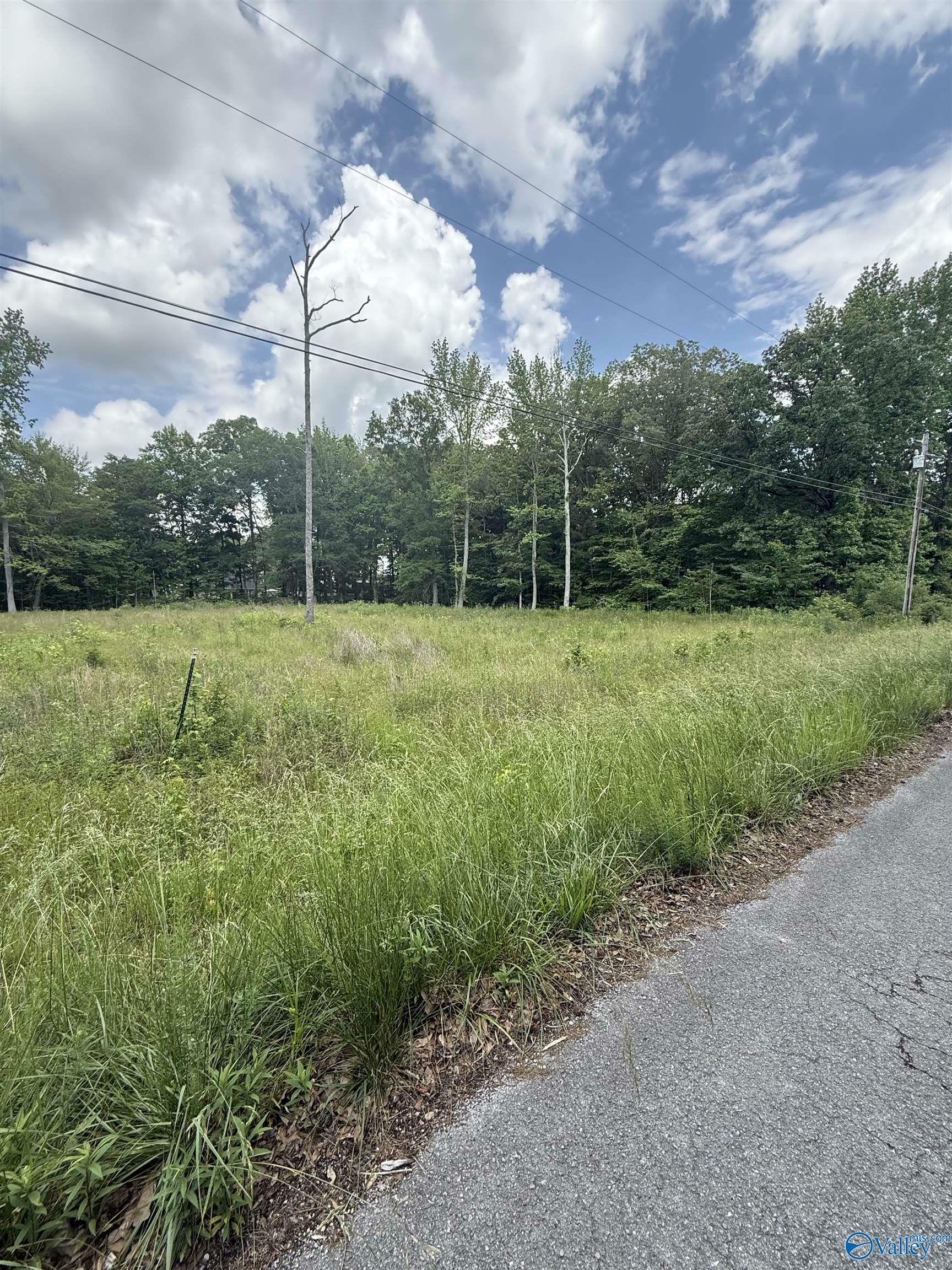 Property Photo: 28427 Jessica Drive AL 35773