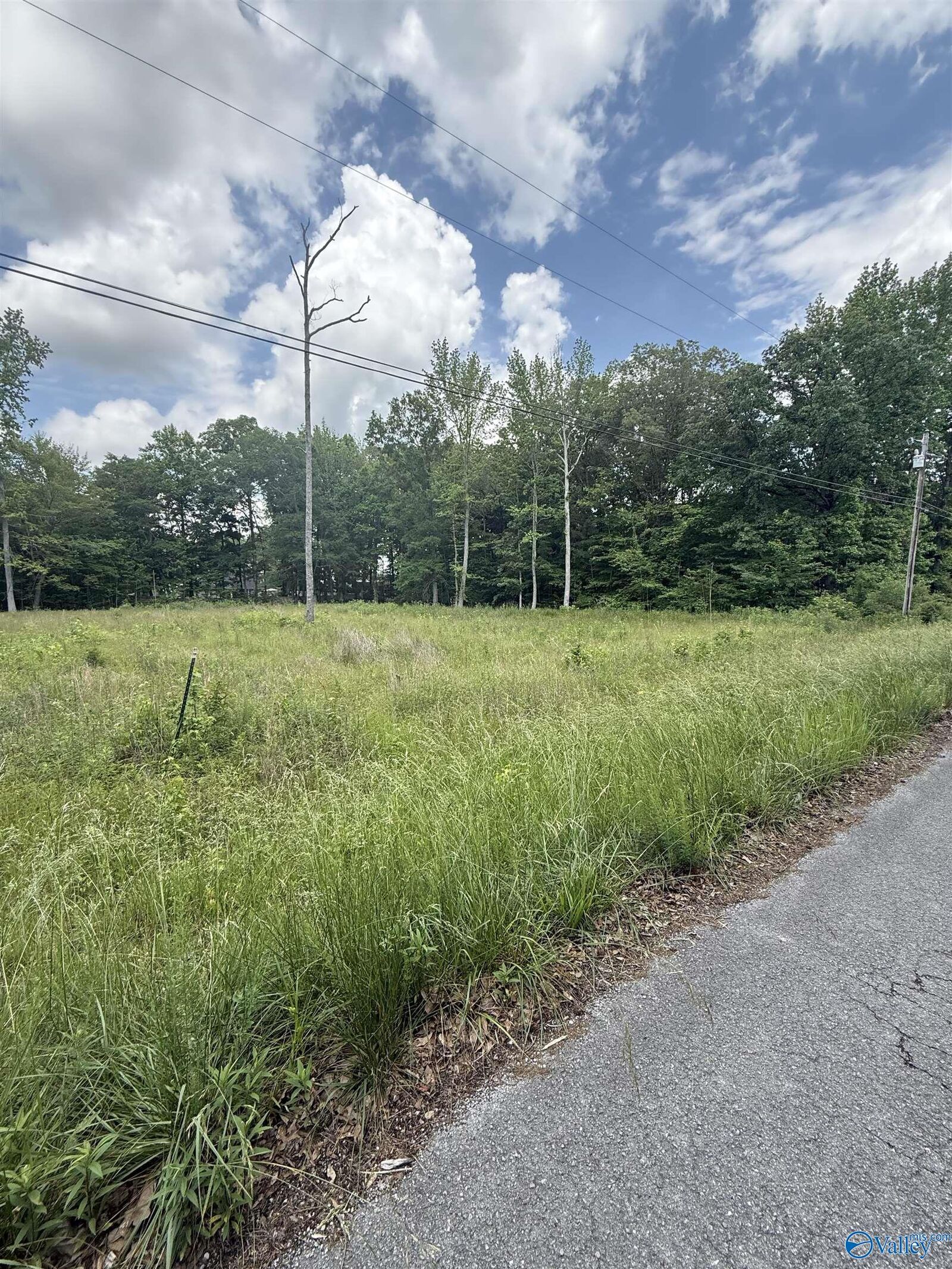 Property Photo:  28427 Jessica Drive  AL 35773 