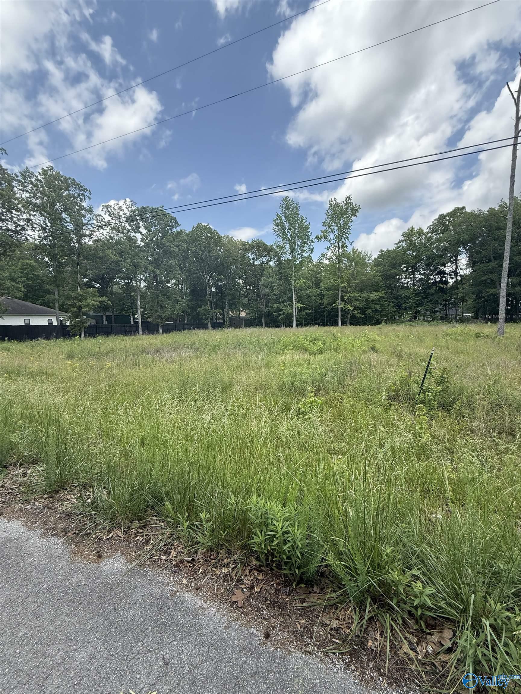 Property Photo: 28447 Jessica Drive AL 35773