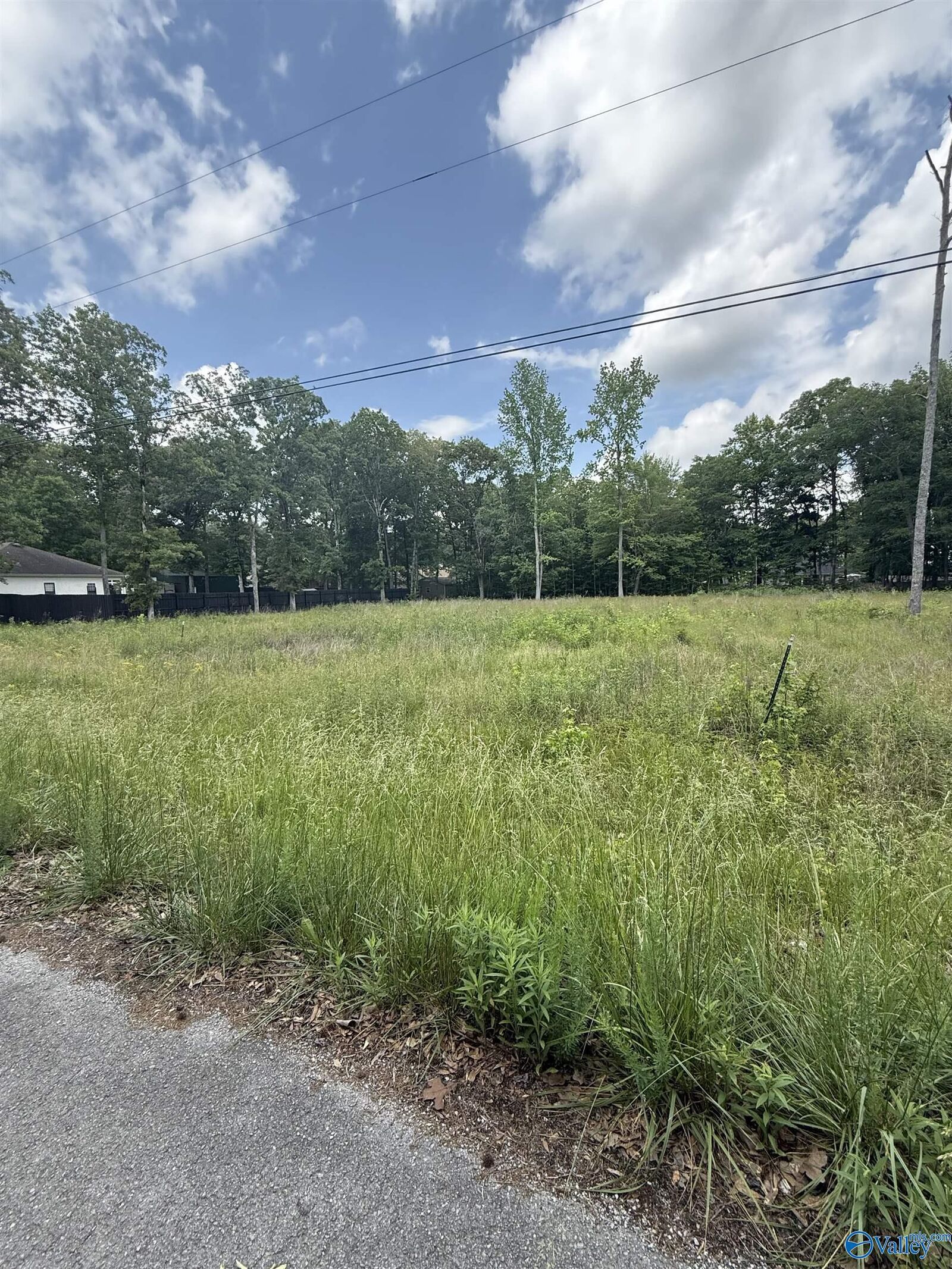 Property Photo:  28447 Jessica Drive  AL 35773 