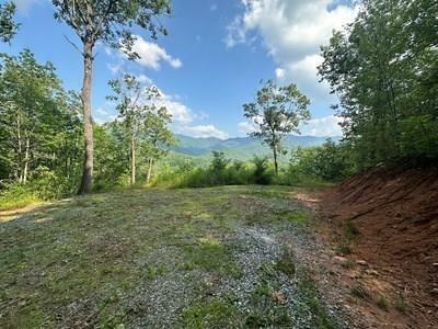 Property Photo: Lot 7 Eagle Fork Summit NC 28904