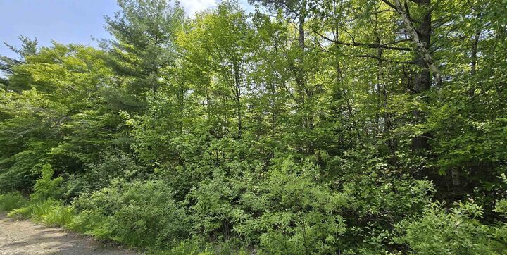 Property Photo:  Lot 24-1 East Clifford Road  NS B4V 7R8 