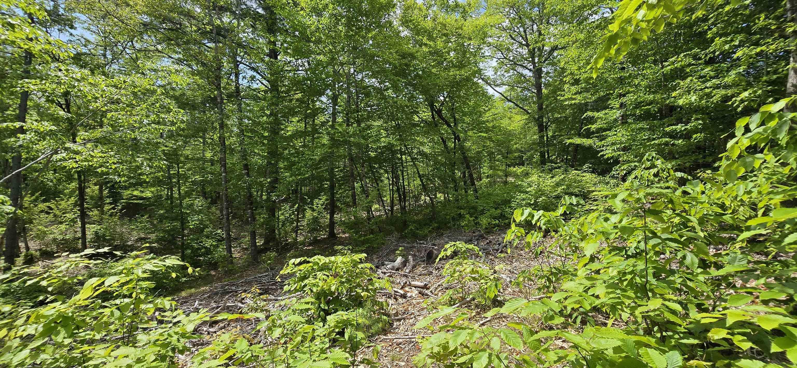 Property Photo: Lot 24-4 East Clifford Road NS B4V 7R8