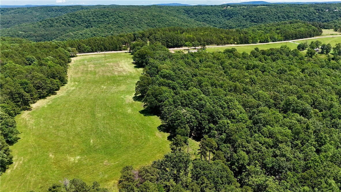 30 Acres Highway 21  Ozone AR 72854 photo