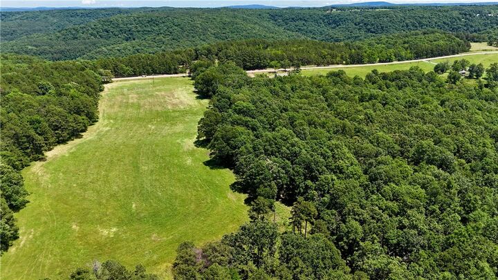 25 Acres Highway 21  Ozone AR 72854 photo