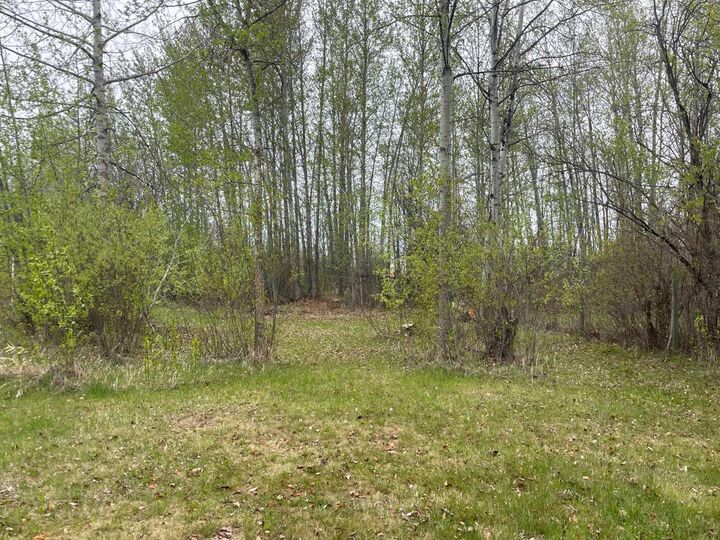 Property Photo: Lot 9 Block 3 Summerhaven AB T0C 1H0