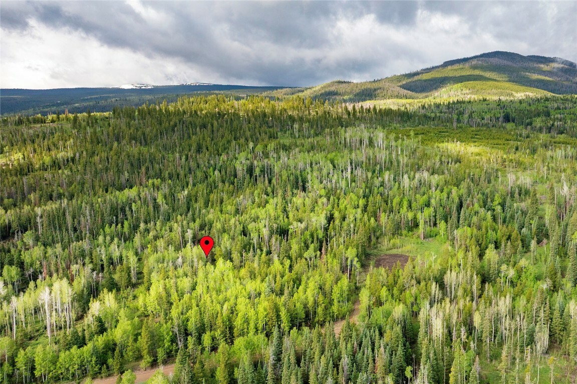 Property Photo:  336 Blue Spruce Road  CO 80498 