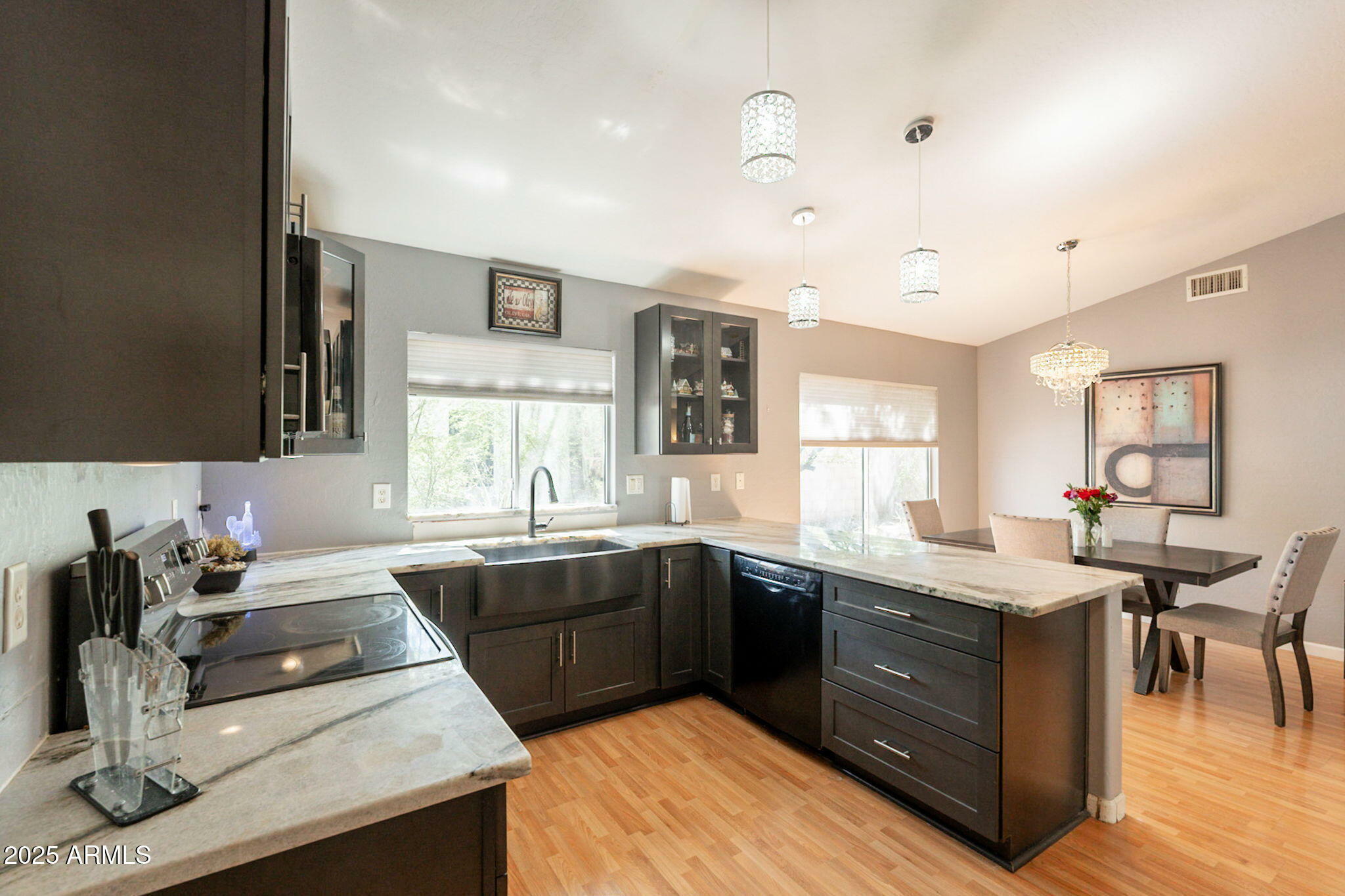 Property Photo:  1321 E Escuda Drive  AZ 85024 