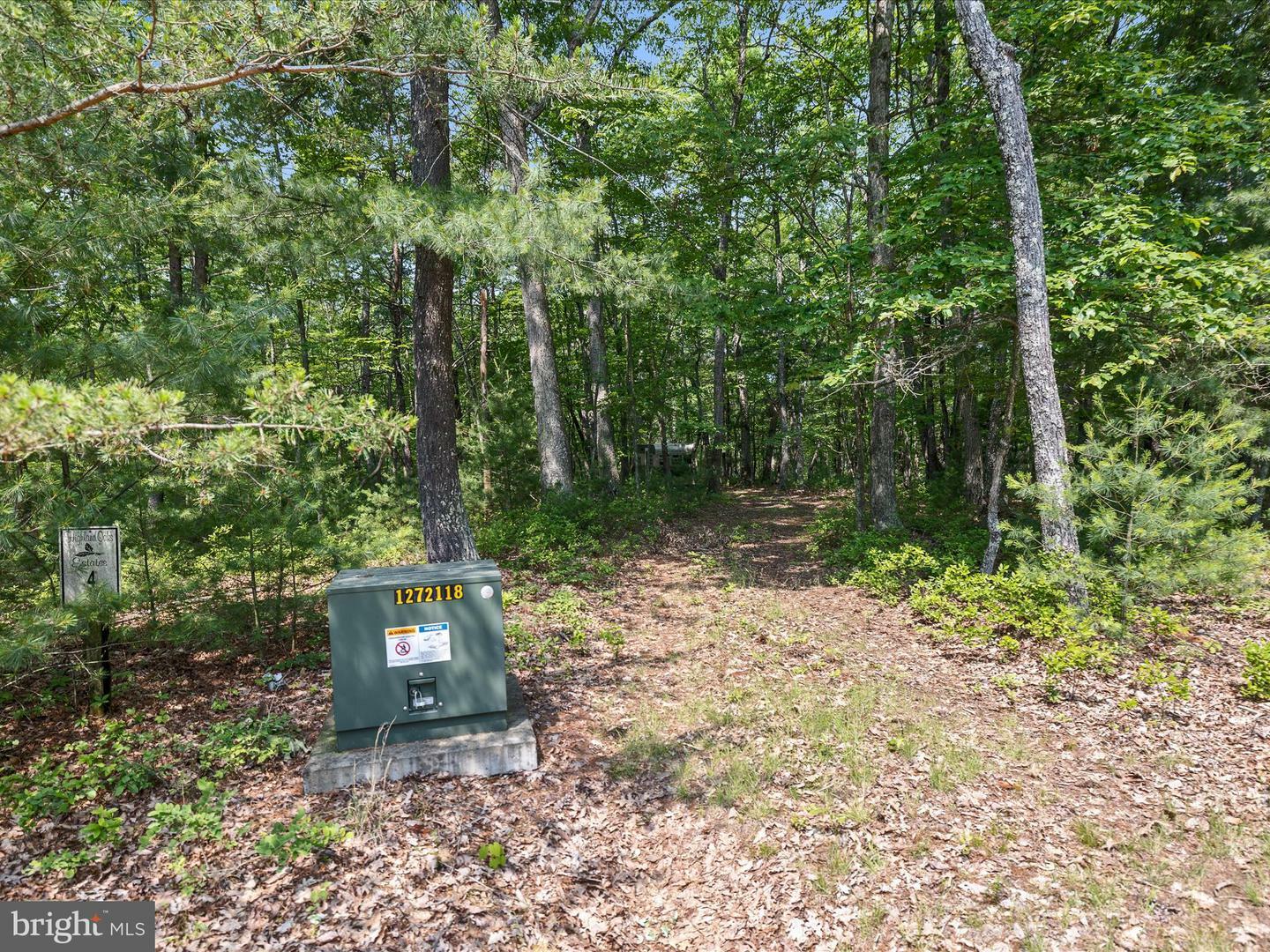 Property Photo: Lot 4 Highland Drive WV 26808