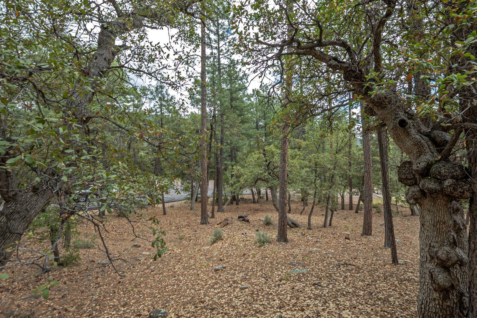 Property Photo: 98 Trails End AZ 85544