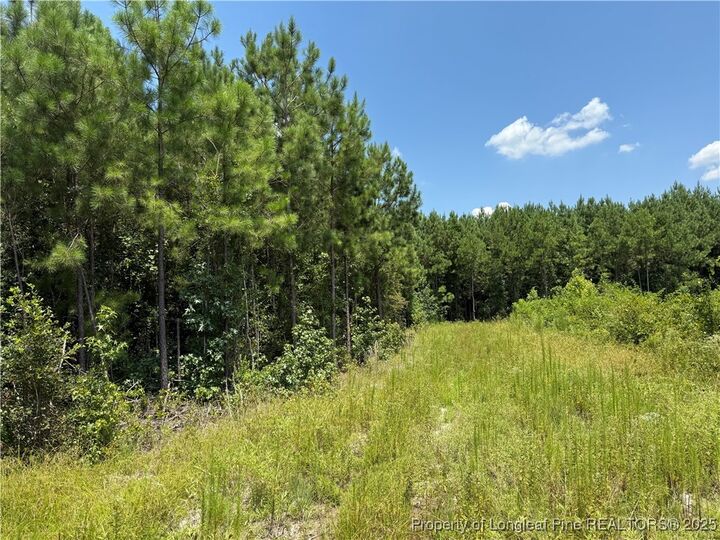 Property Photo: 0 Tabor Church Road NC 28312