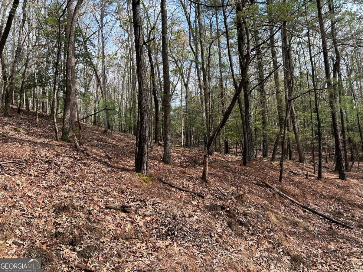 Property Photo: Lt2788 Medina Court GA 30540