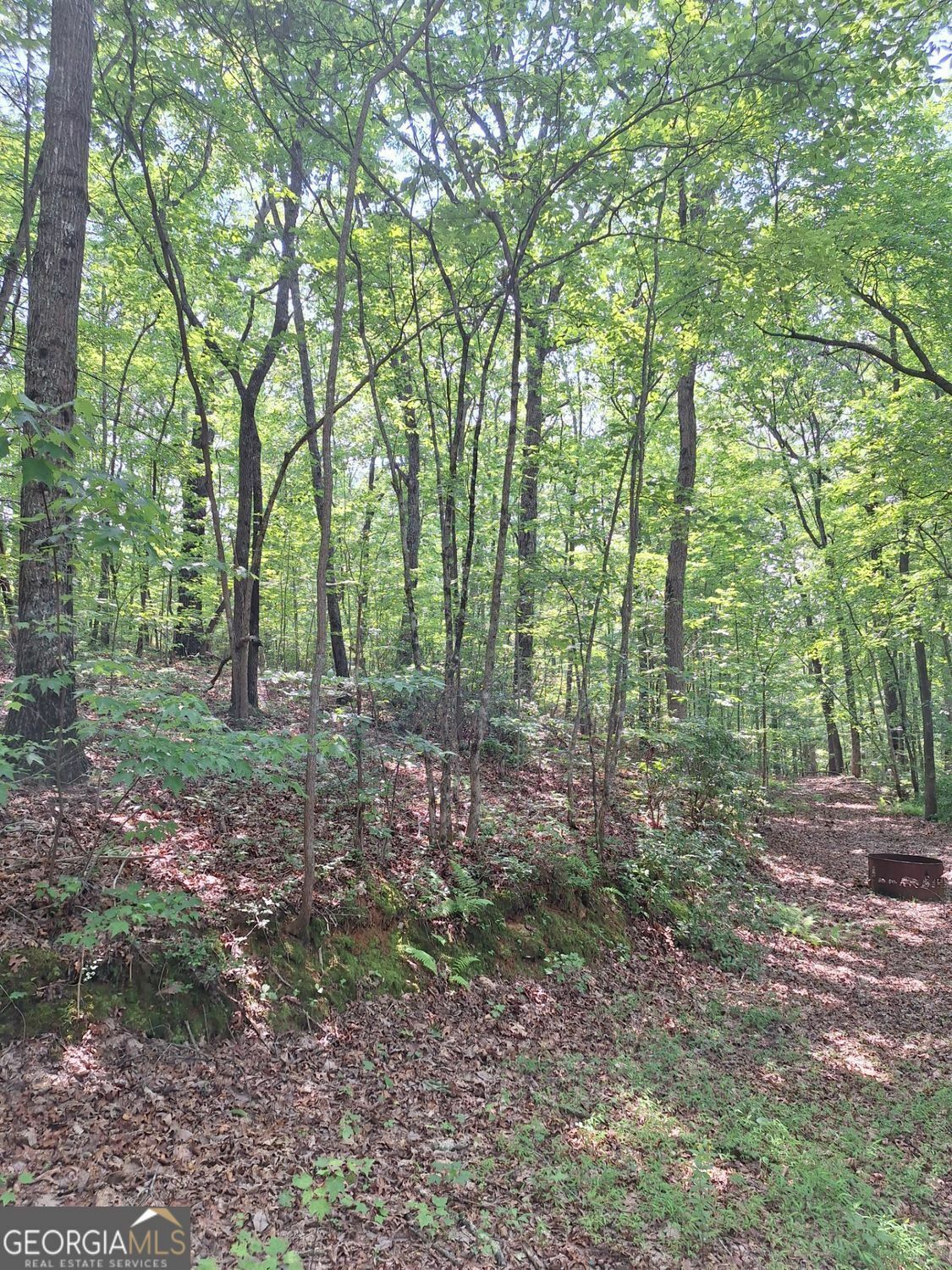 Property Photo: 0 Sun Rock Mountain Trace GA 30513
