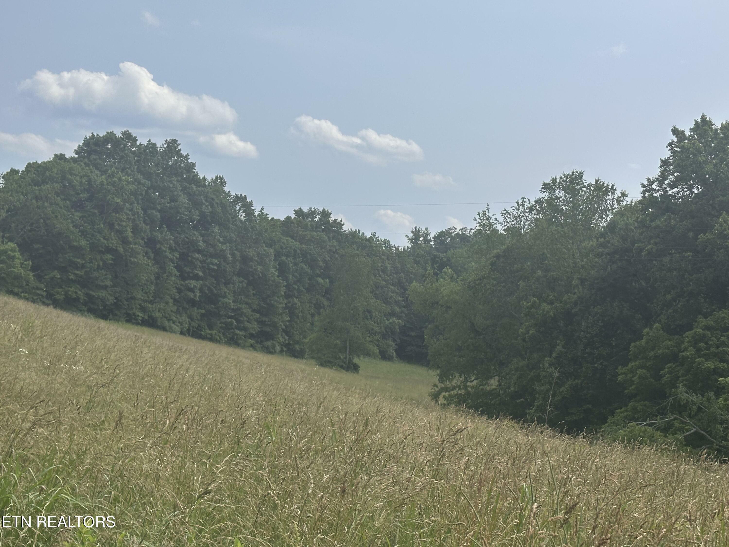 Property Photo:  Nursey Rd  VA 24281 