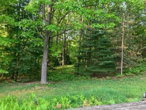 Property Photo:  4520 W Arrowhead Drive  MI 49349 