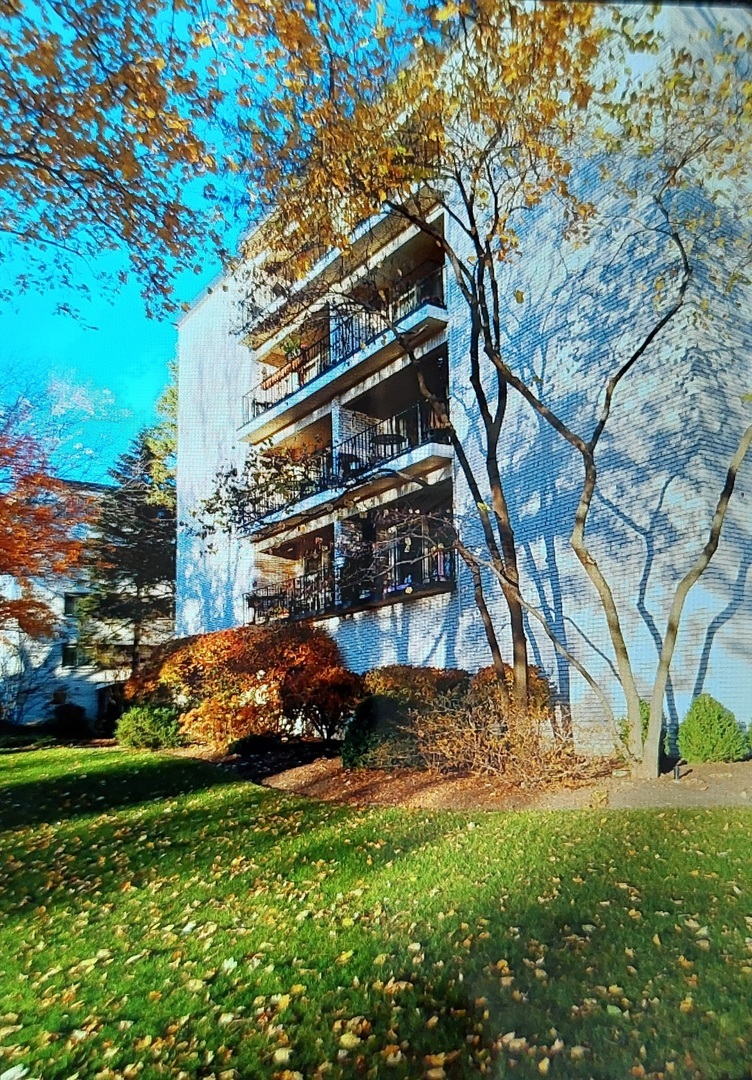 Property Photo: 407 N Franklin Avenue 5F IL 60305