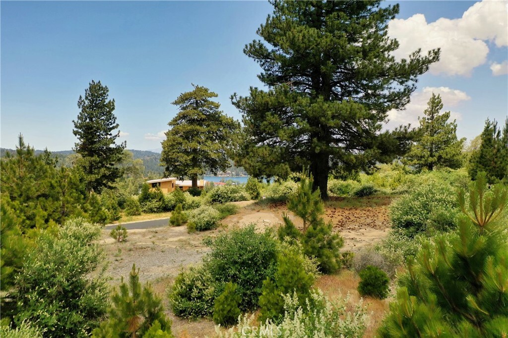 Property Photo:  136 Mill Pond Road  CA 92352 