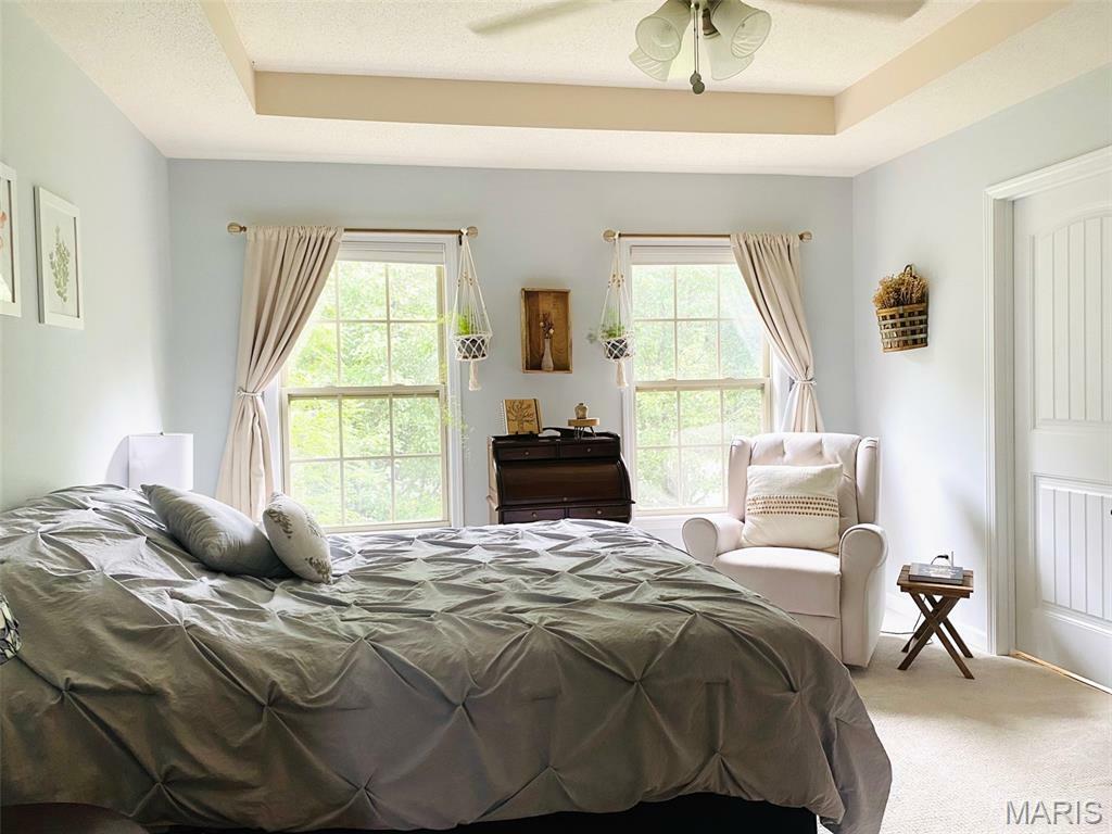 Property Photo:  251 Cedar Spring Drive  MO 63755 