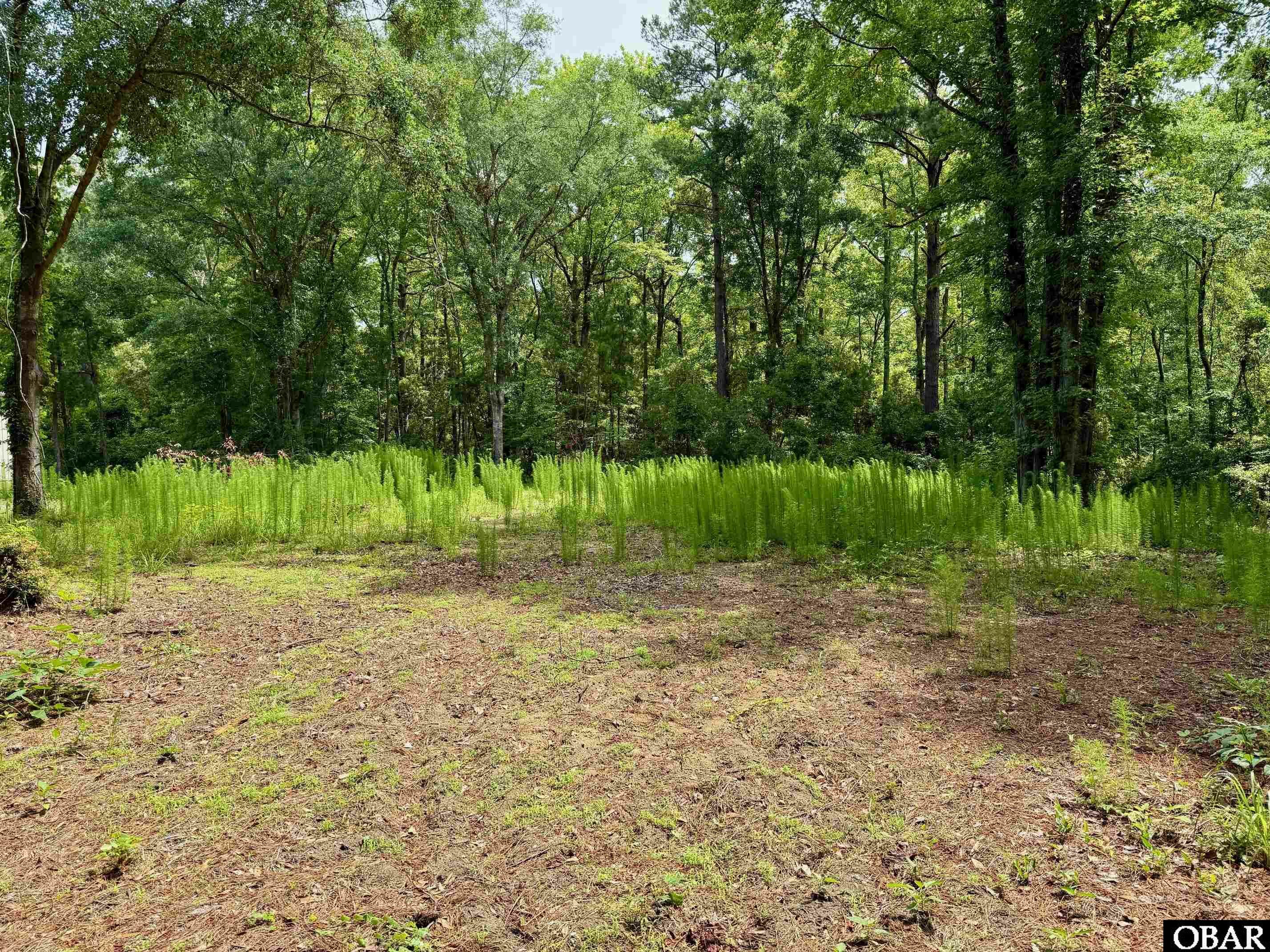 5031 Hornbeam Road  Kitty Hawk NC 27949 photo