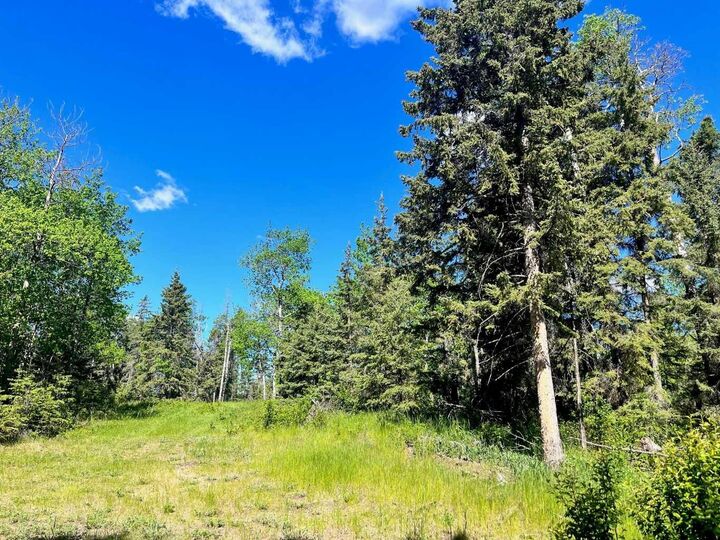 Property Photo: 421022 Range Road 260 13 AB T4J 1R3