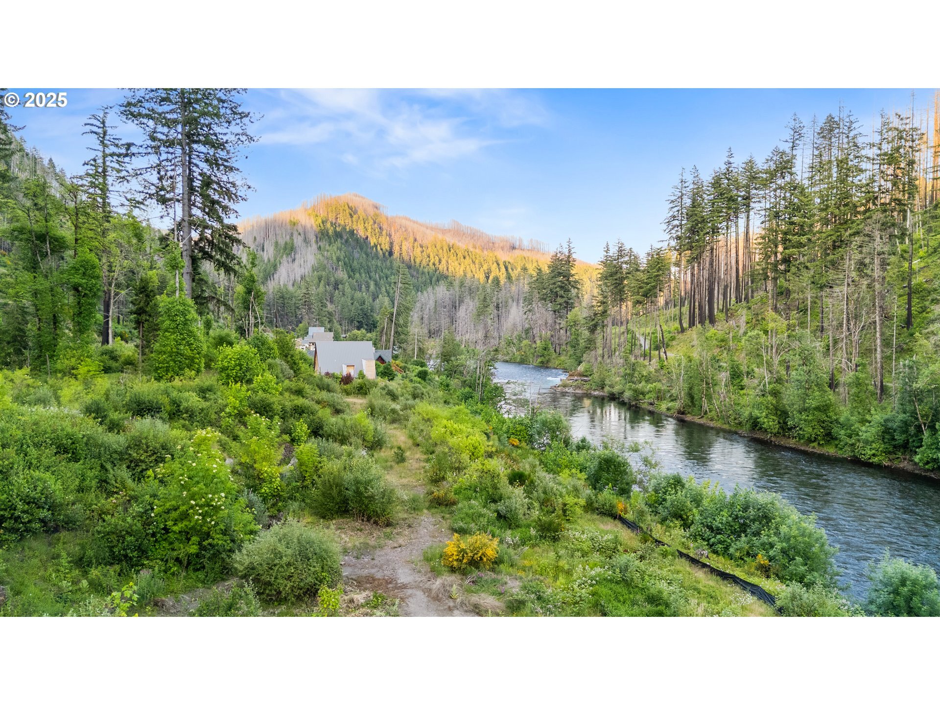 47688 McKenzie Hwy  Vida OR 97488 photo