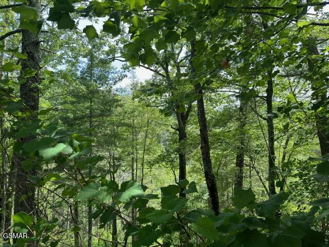 Property Photo: Lot 18 Turkey Creek Way TN 37862
