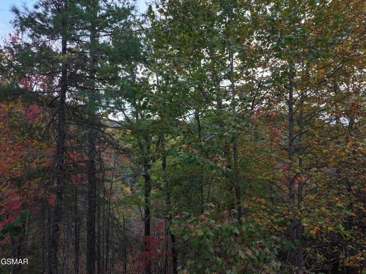 Property Photo:  Lot 18 Turkey Creek Way  TN 37862