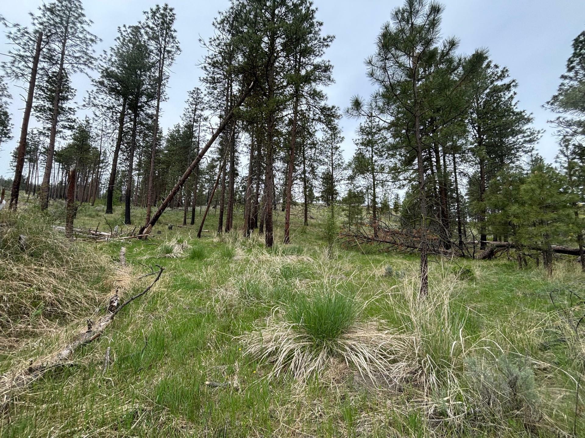 Property Photo: 8xx Upper Reevas Basin Rd Lot 3628012011 WA 98855