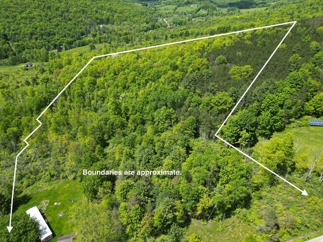 Property Photo: 262 West Hill Road NY 14892