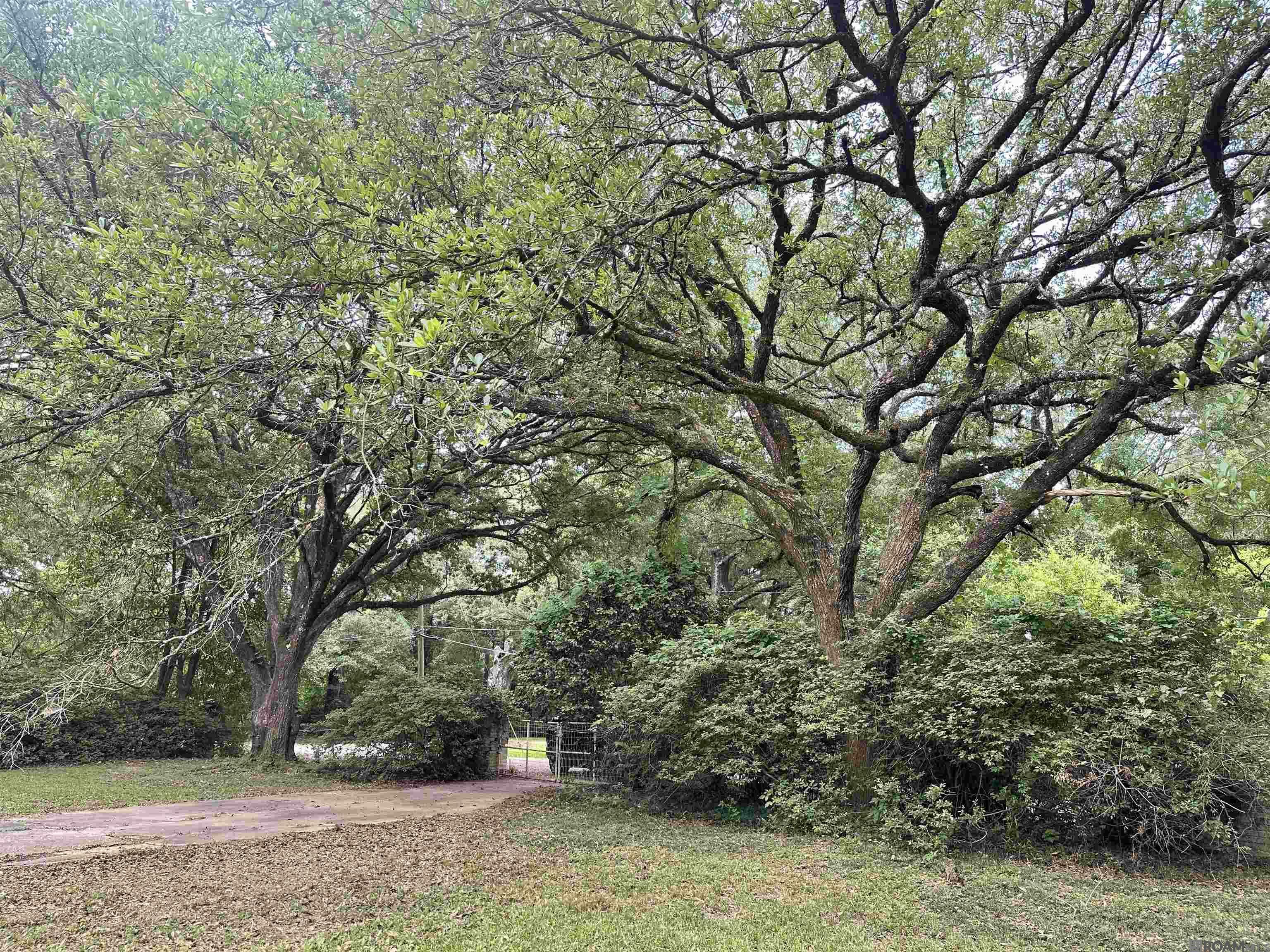 Property Photo: 2557 Riverview Dr LA 70726